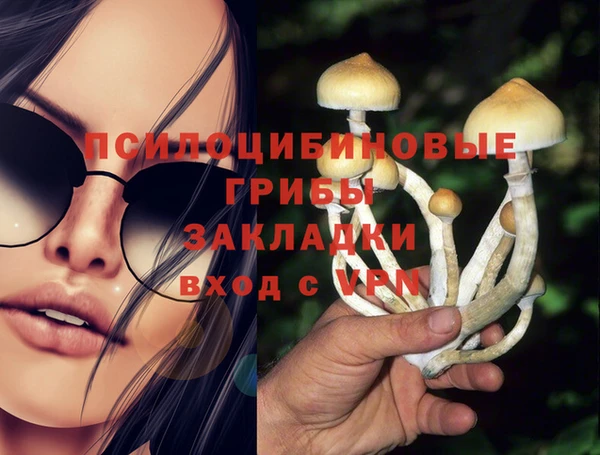 мяу мяу мука Абдулино